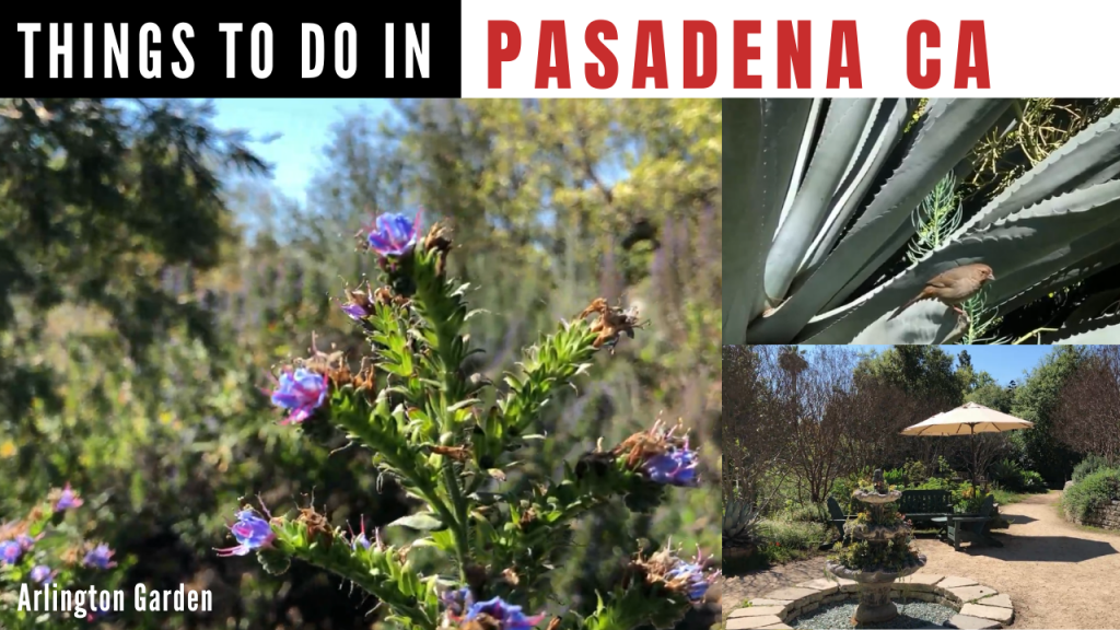 Things to do in Pasadena CA - Arlington Garden
