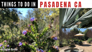 Things to do in Pasadena CA - Arlington Garden